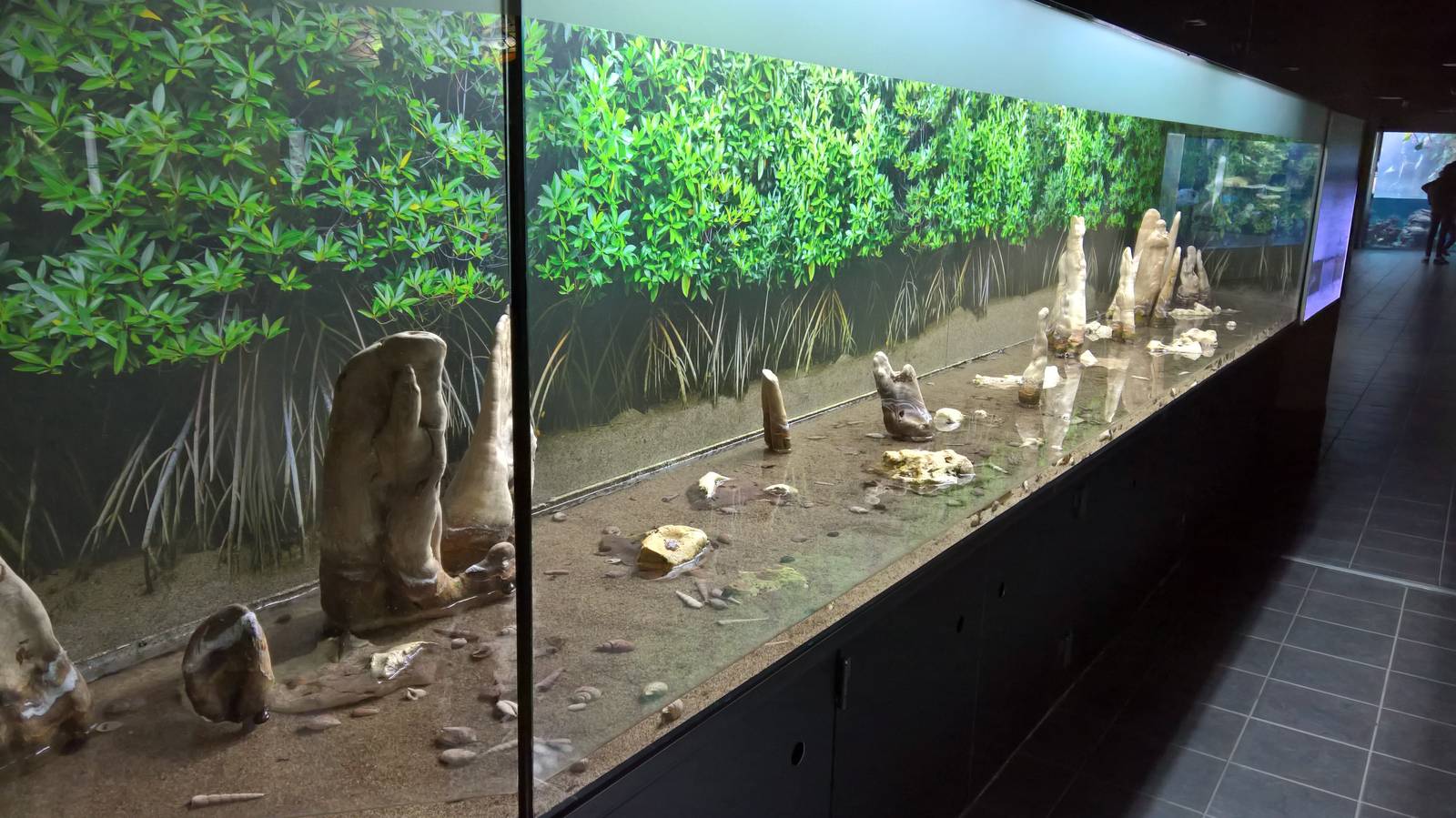 Mangrove Tank
