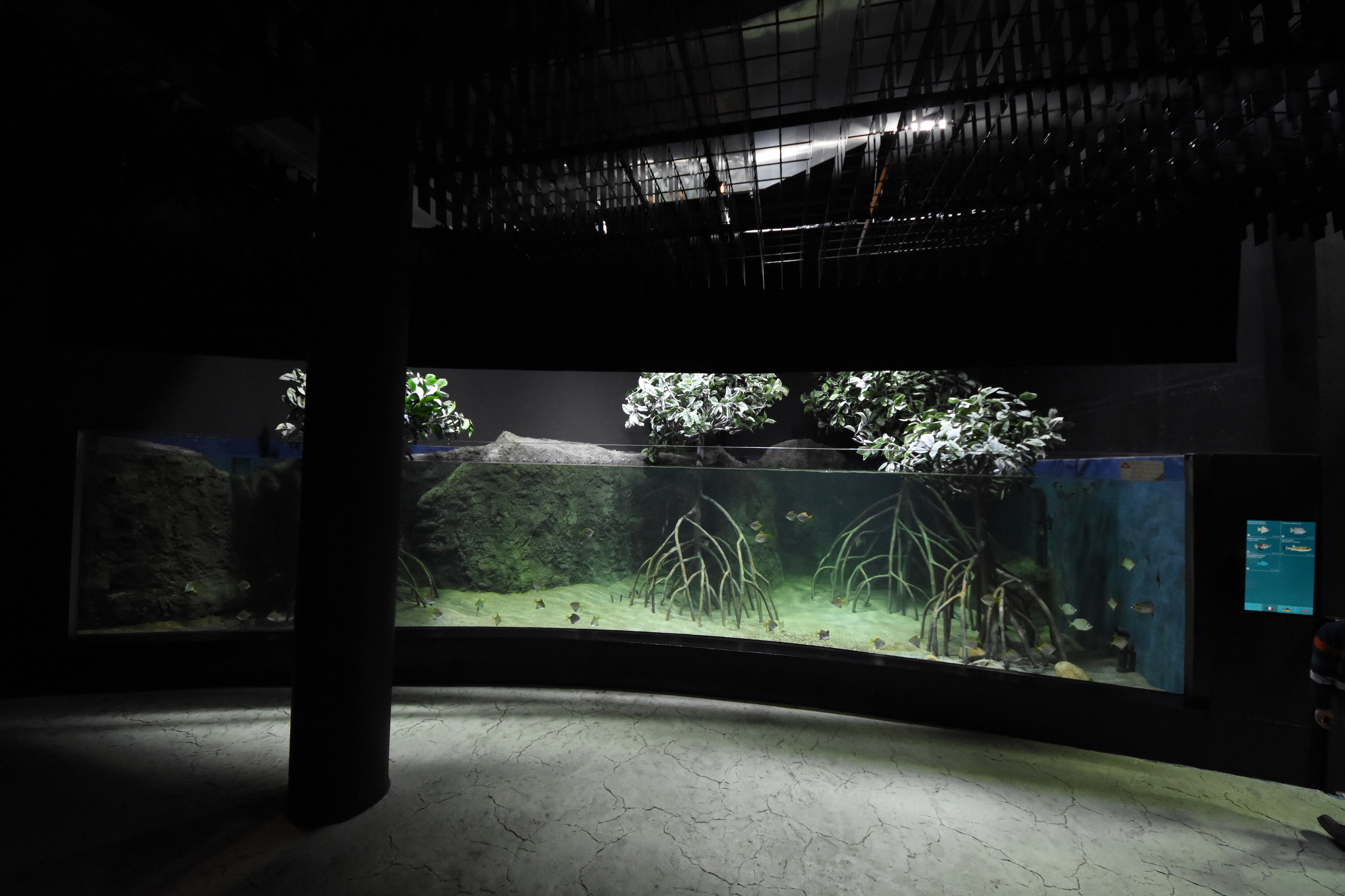Mangrove tank