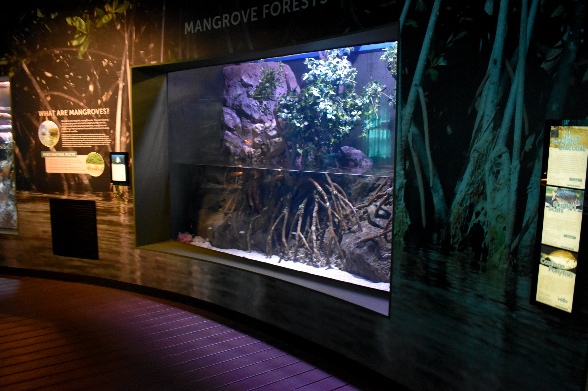 Mangrove tank
