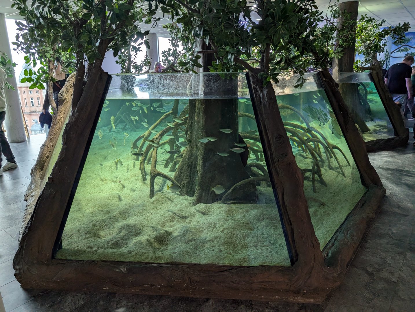Mangrove Tank