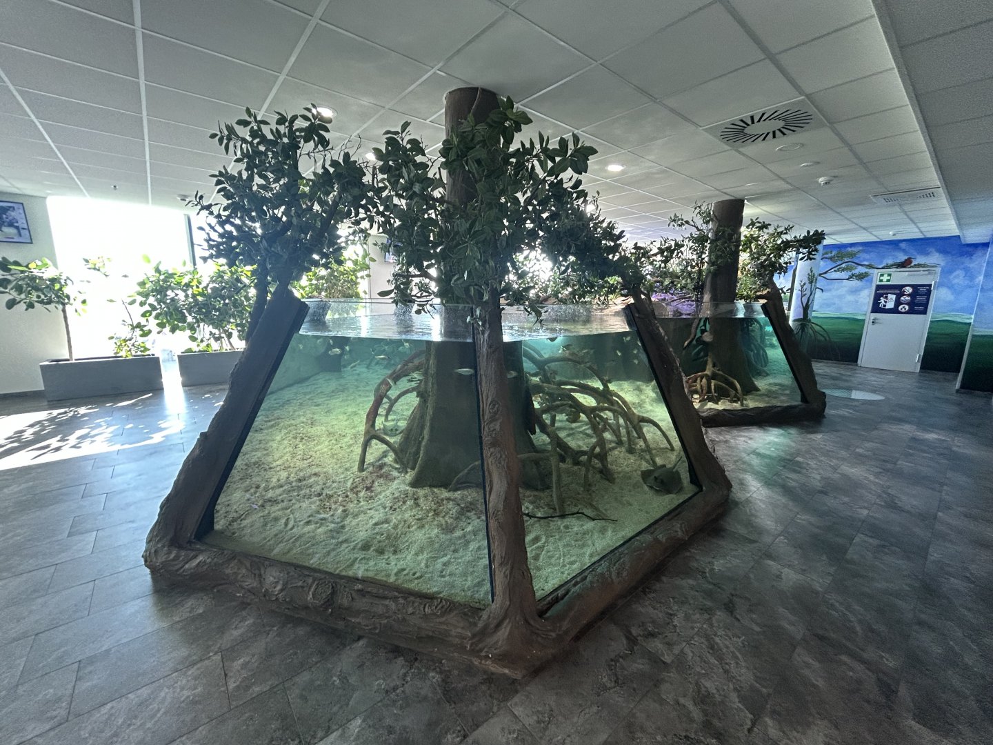 Mangrove Tank