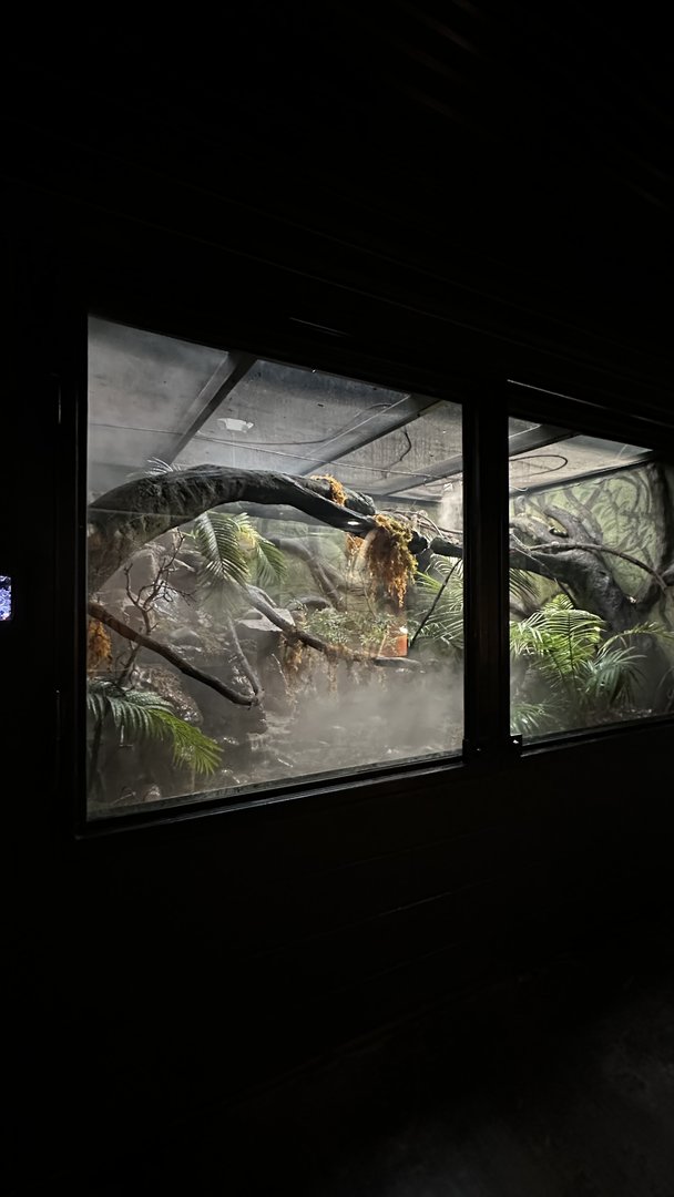 Mangshan Mountains Terrarium