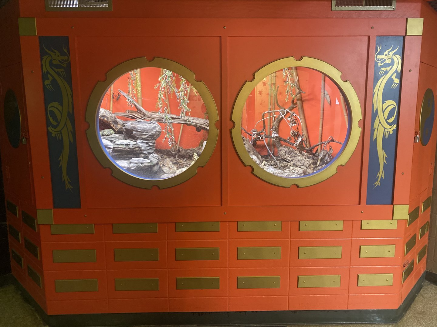 Mangshan Pit Viper Exhibit