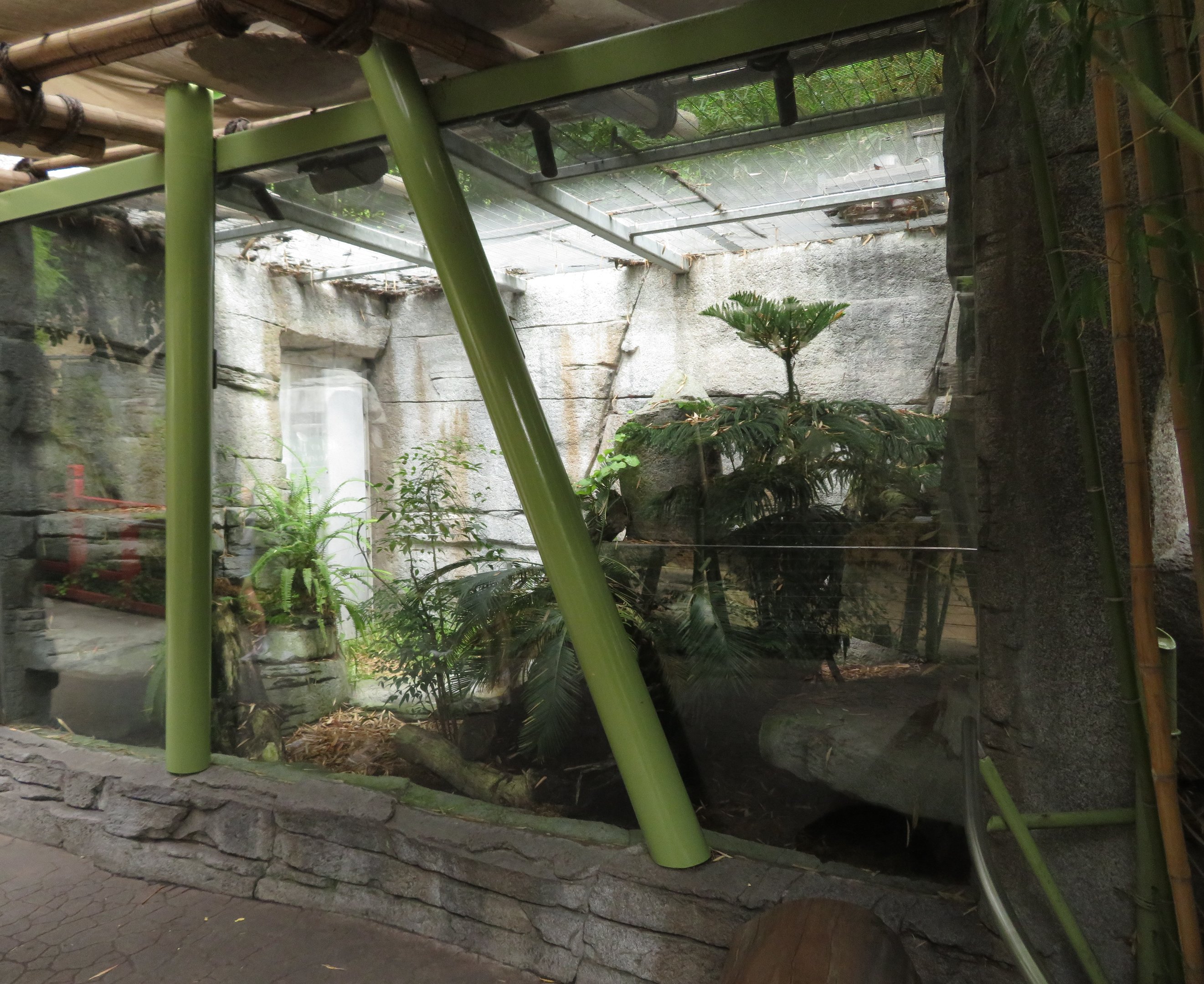 Mangshan Pitviper Exhibit