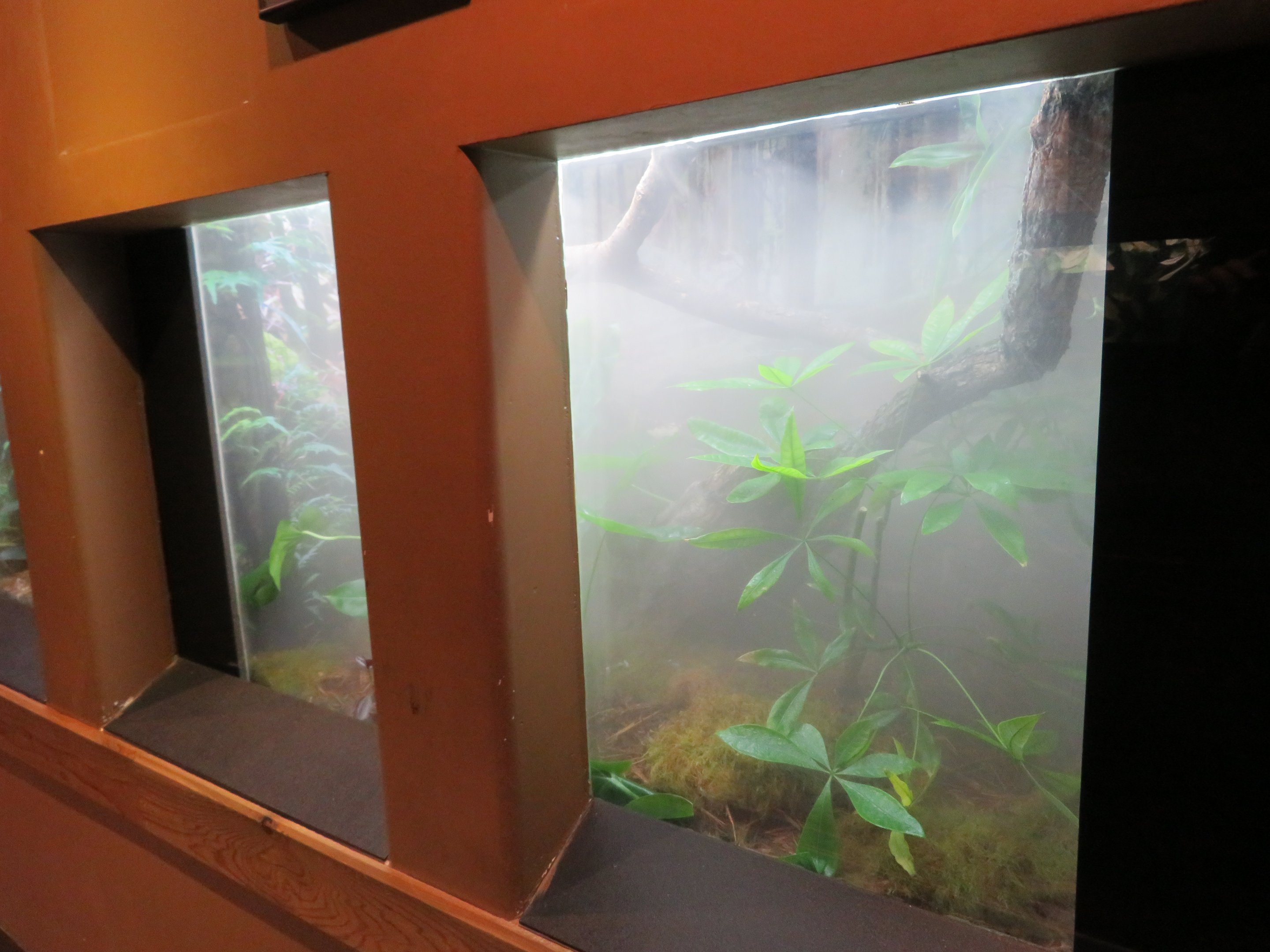 Mangshan Pitviper Tank