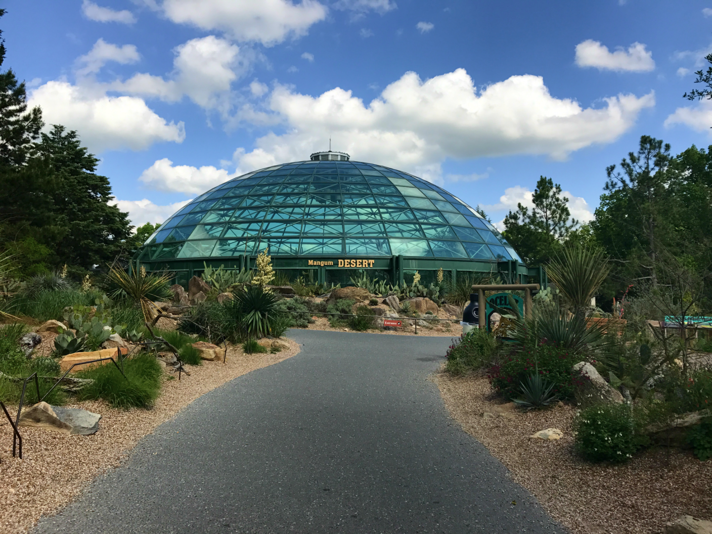 Mangum Desert