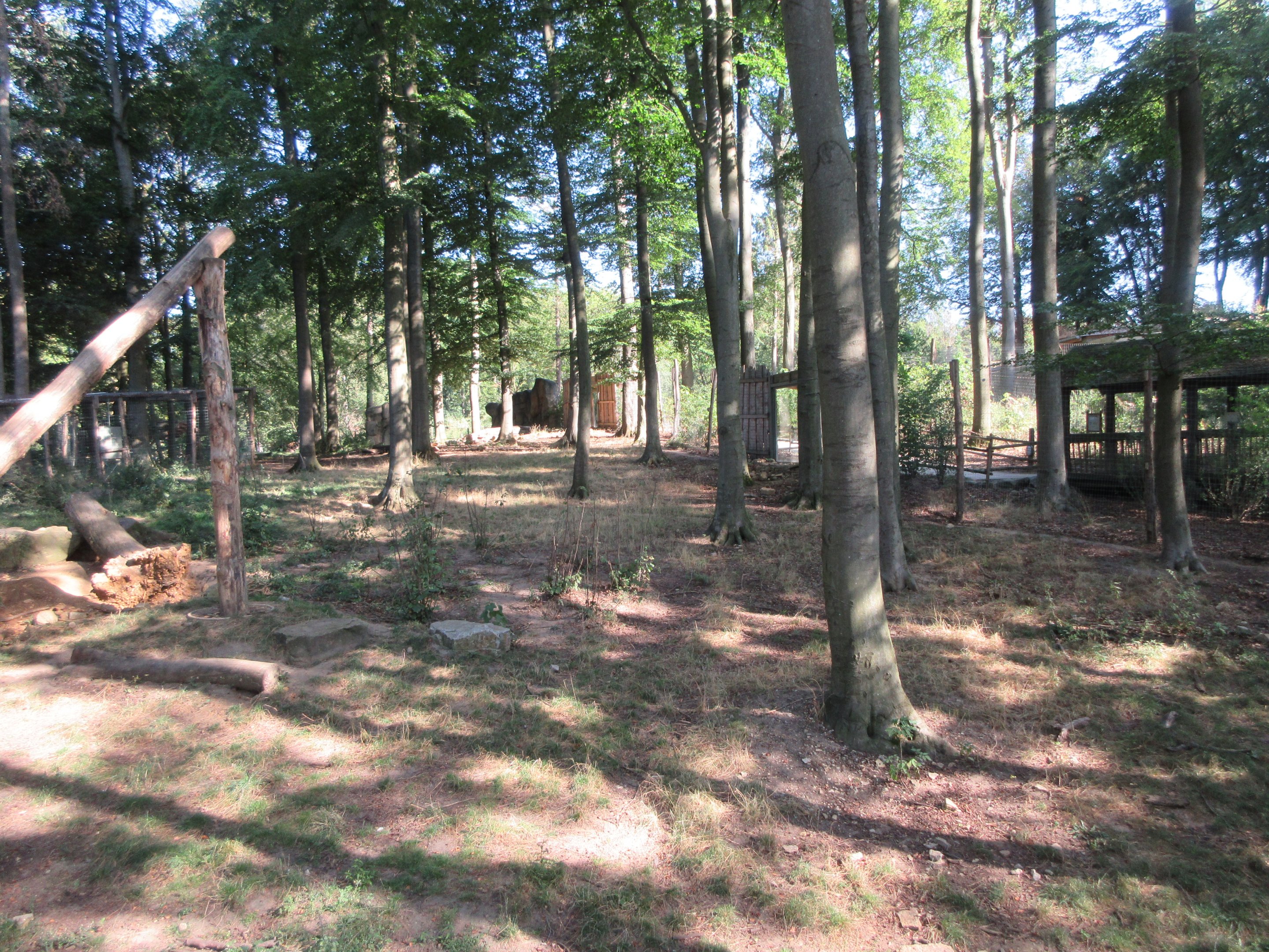 Manitoba - American Black Bear Exhibit