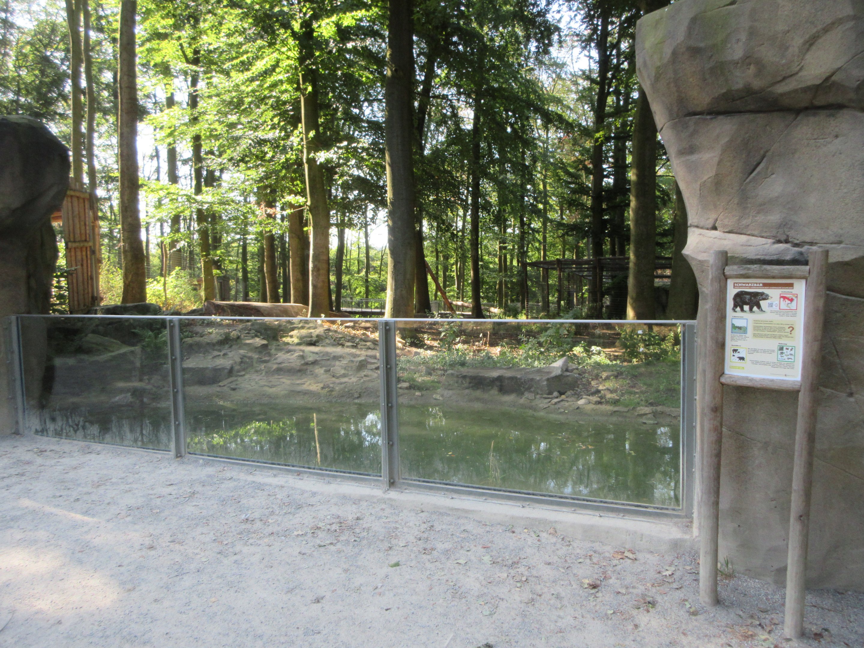Manitoba - American Black Bear Exhibit