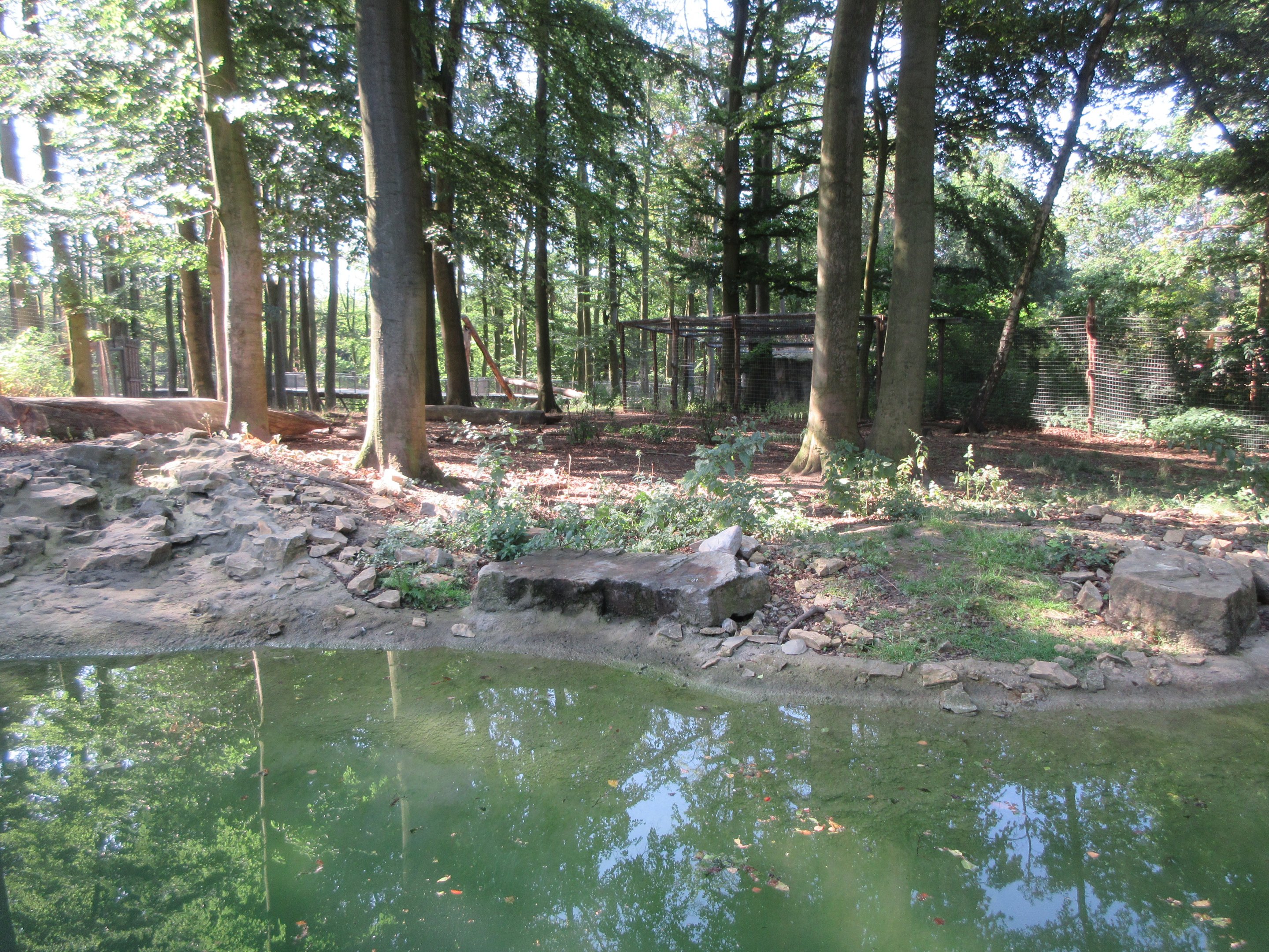 Manitoba - American Black Bear Exhibit