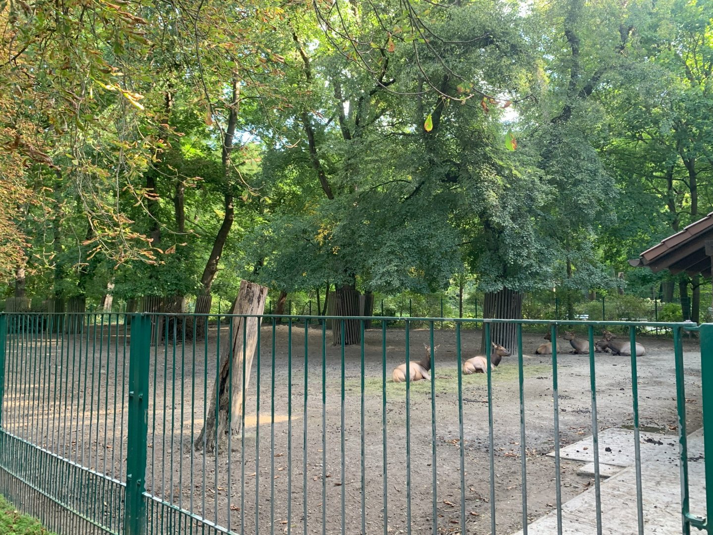 Manitoba Elk enclosure