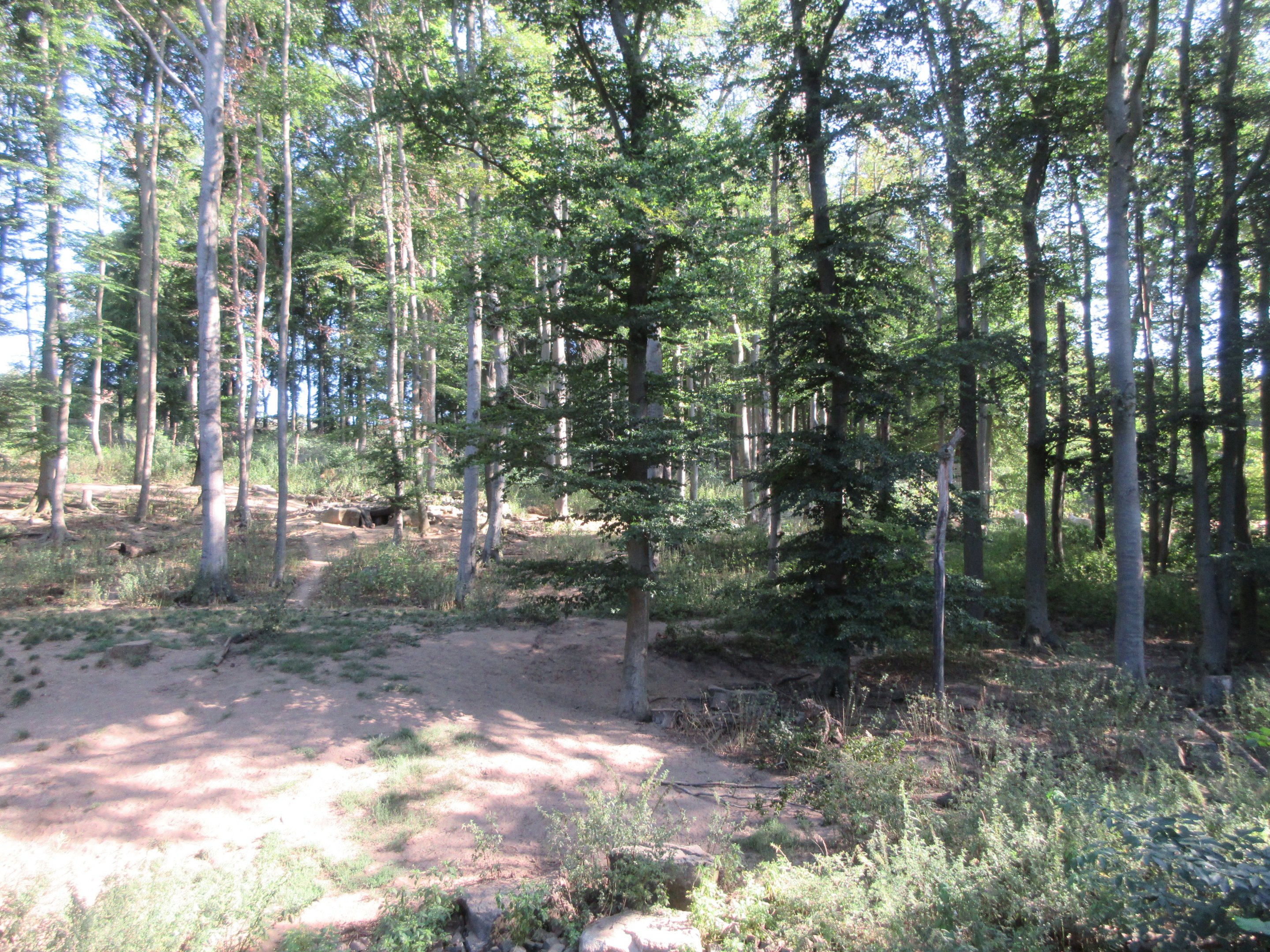 Manitoba - Wolf Exhibit