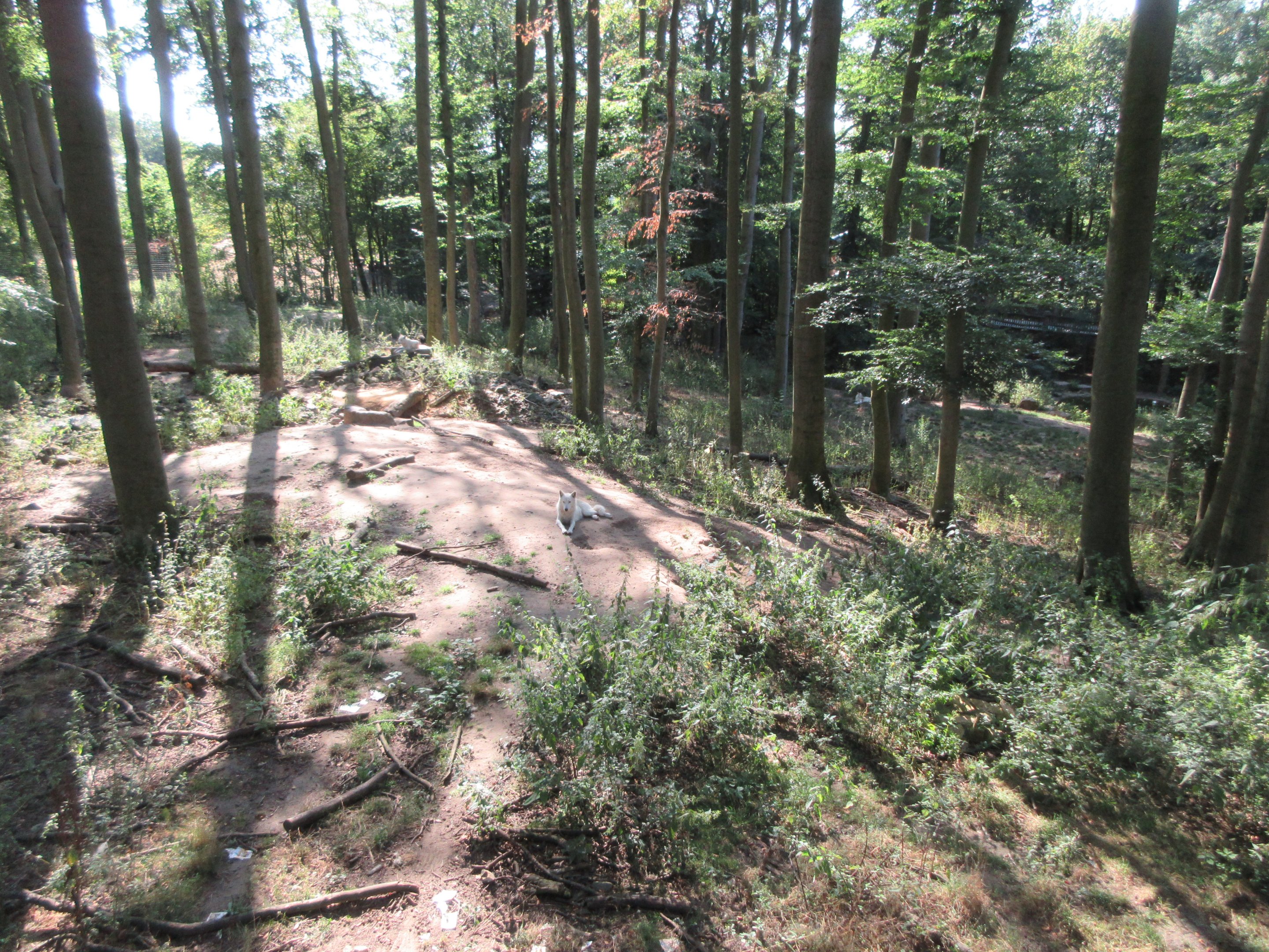 Manitoba - Wolf Exhibit