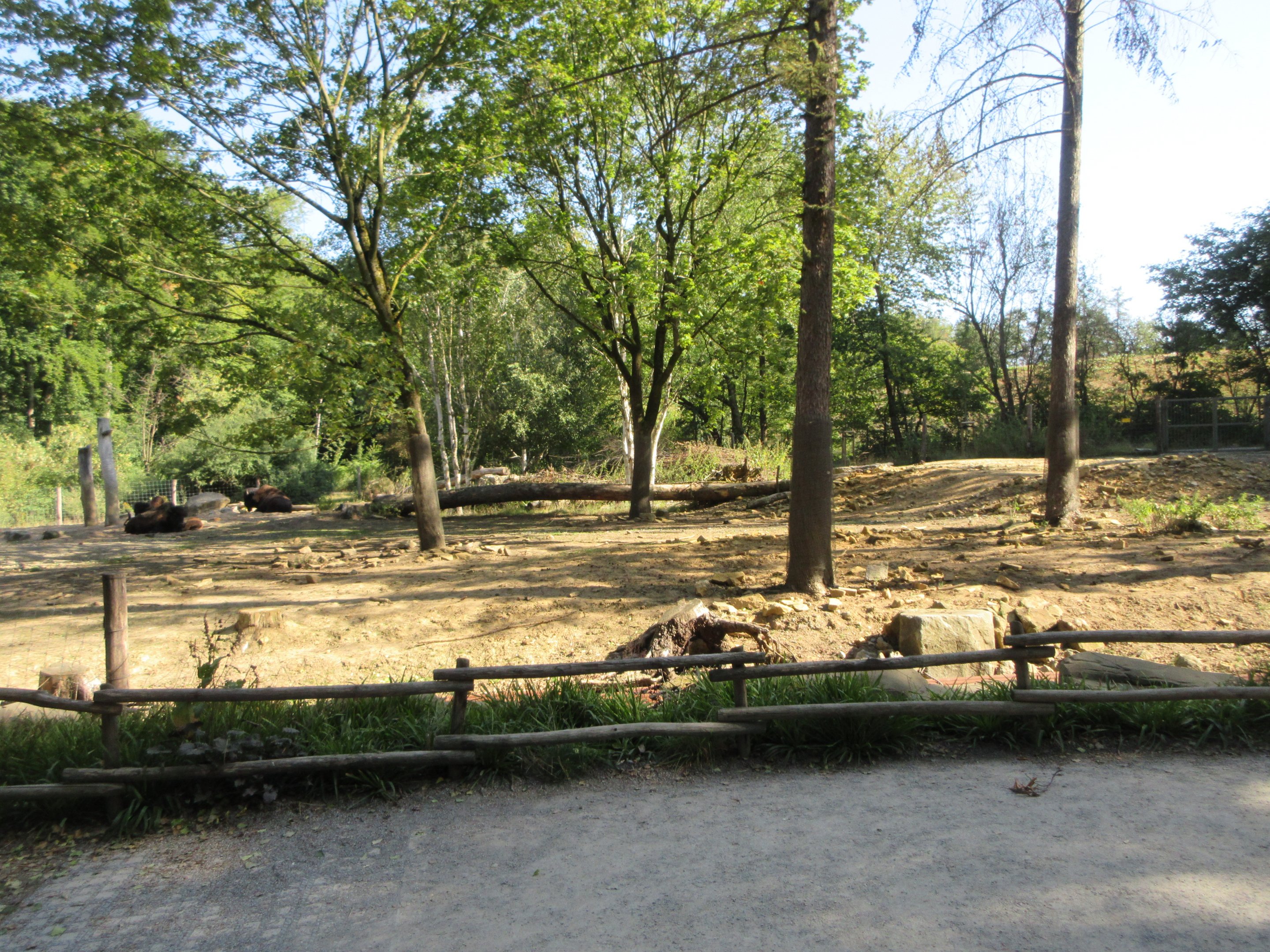 Manitoba - Wood Bison Exhibit