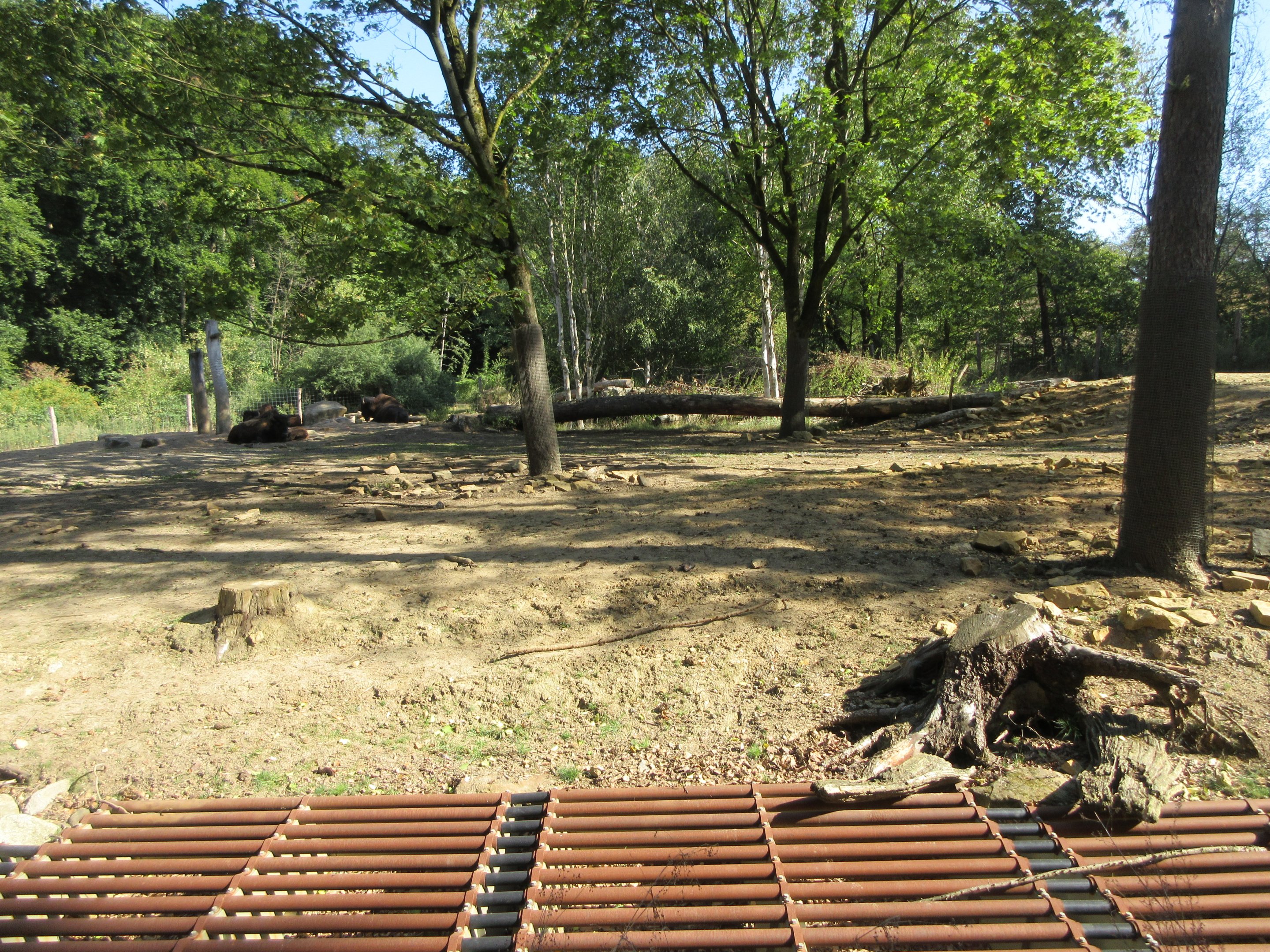 Manitoba - Wood Bison Exhibit