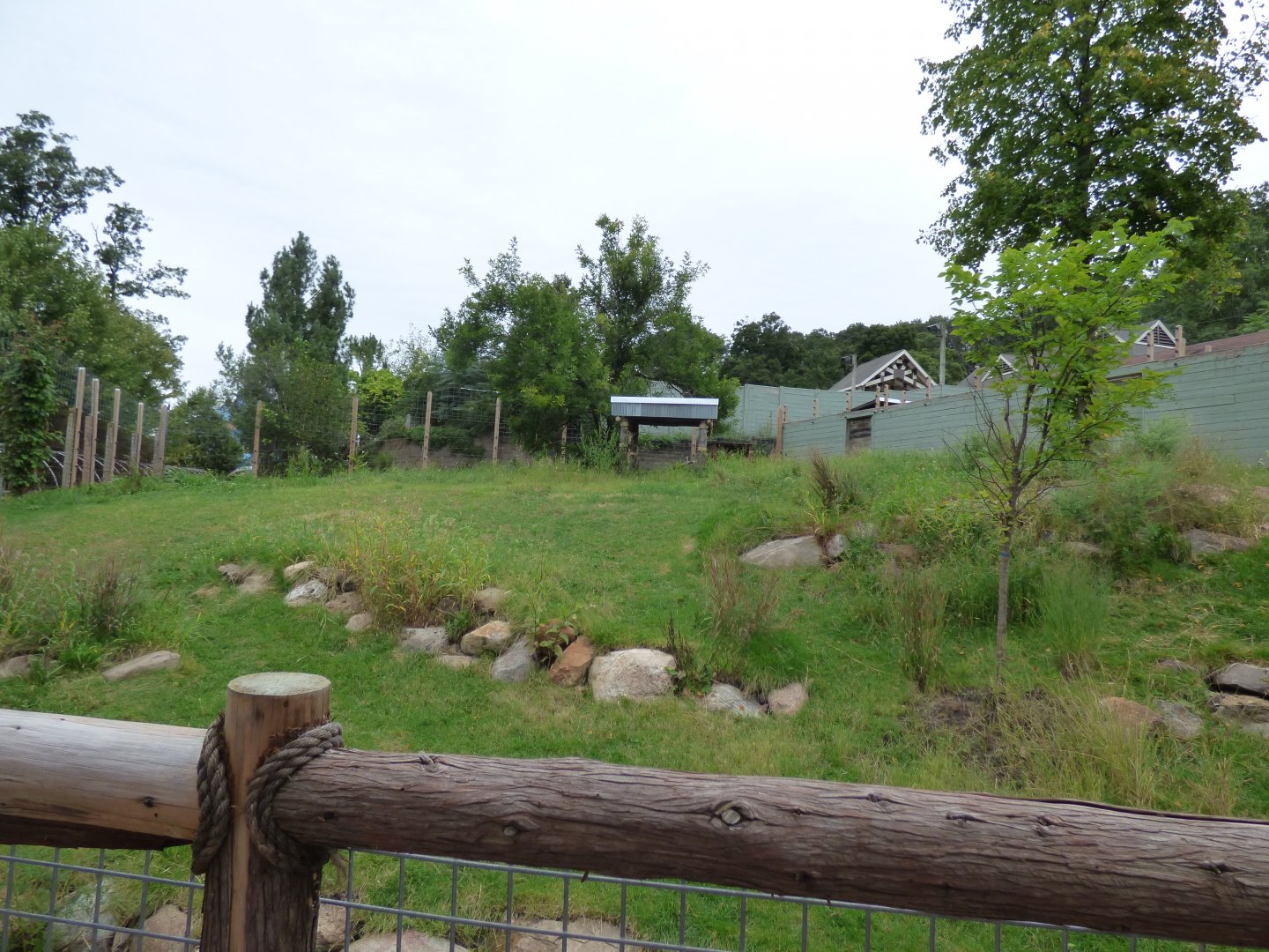 Manned Wolf/Giant Anteater Exhibit - Sept. 2018