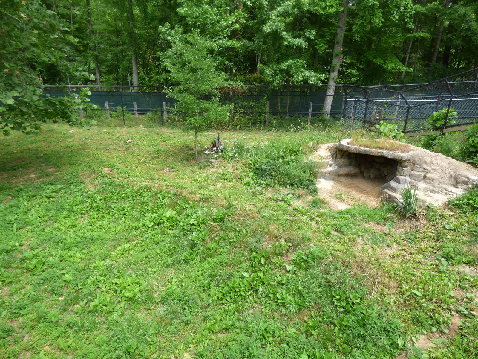Manned Wolf/Giant Anteater Exhibit