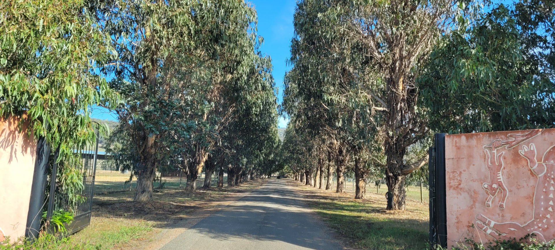 Mansfield Zoos entrance driveway