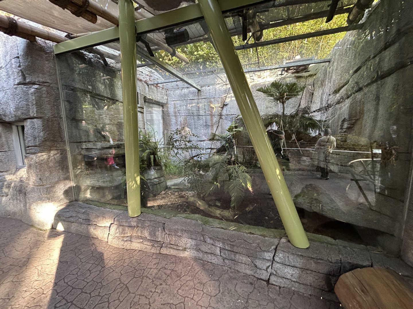 Manshang Mountain Viper Exhibit - Asian Passage