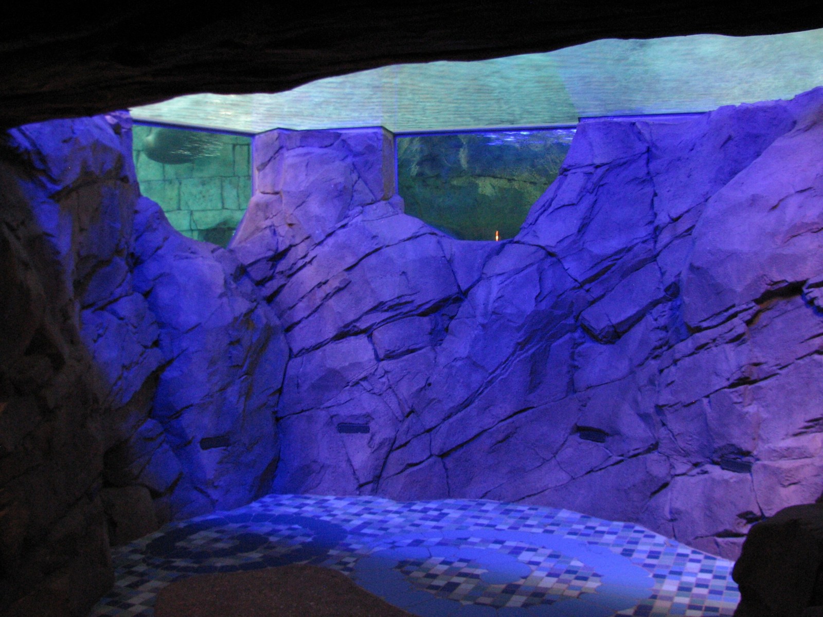 Manta Aquarium - Ray Exhibit