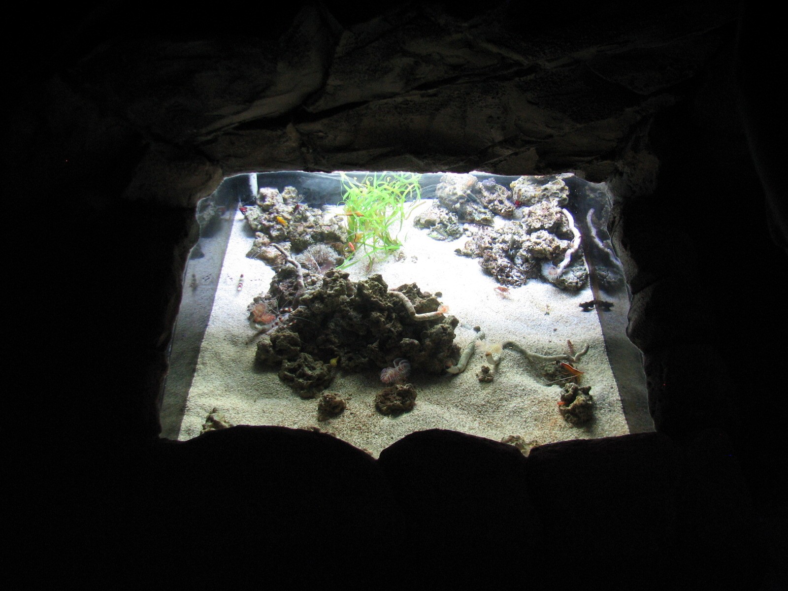 Manta Aquarium - Seafloor Exhibit