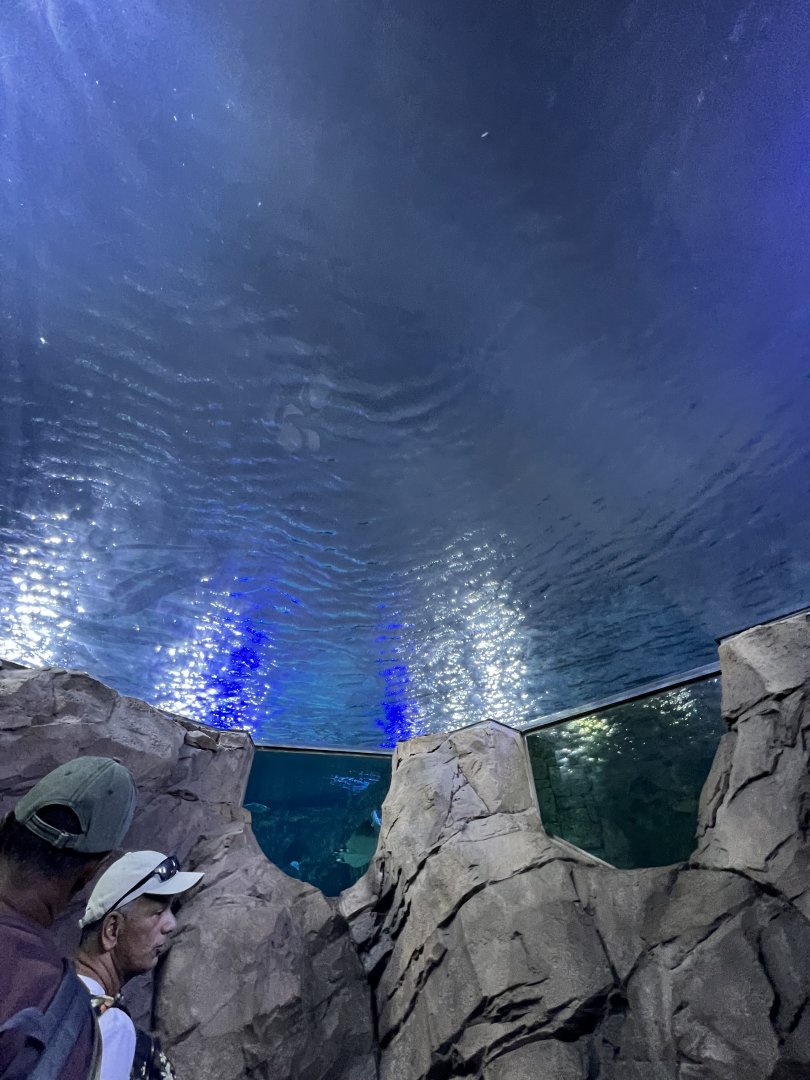 Manta Aquarium