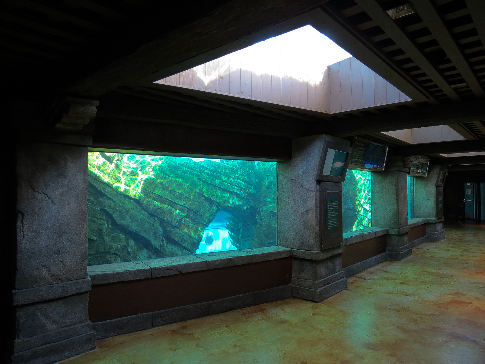 Manta - Bat Ray Aquarium Underwater Viewing