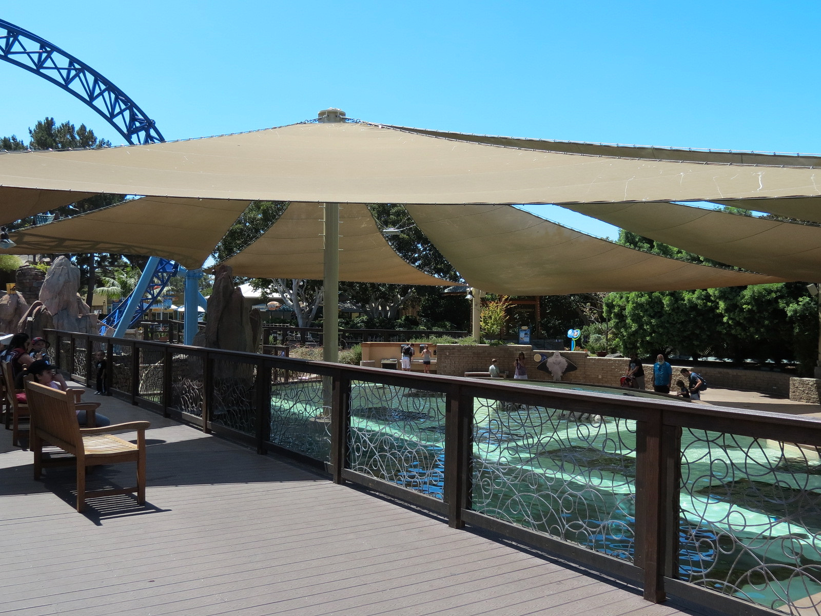 Manta - Bat Ray Feeding