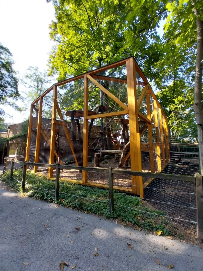 Mantled colobus enclosure