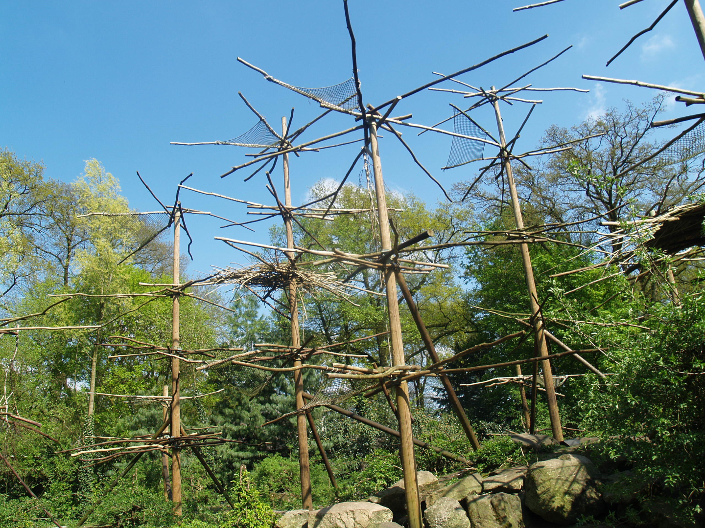 Mantled Colobus exhibit, 2009-04-19