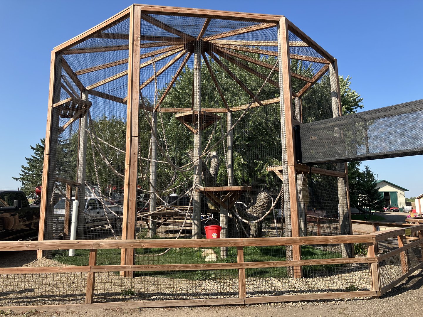 Mantled Guereza Exhibit