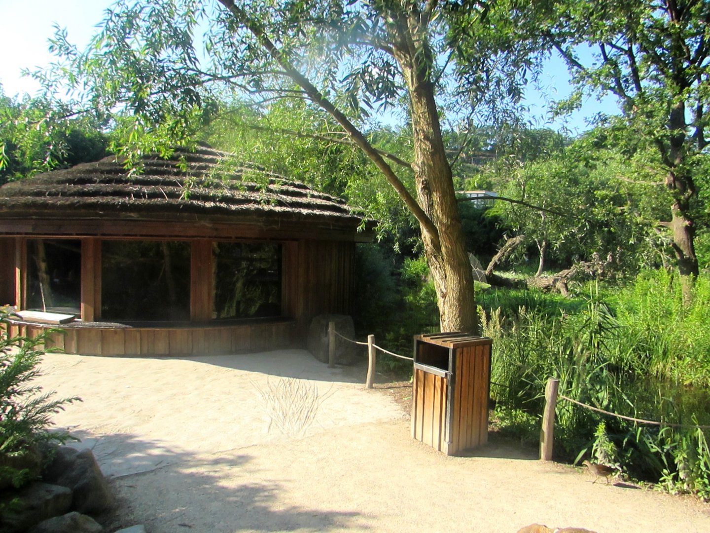 Mantled Guereza house - July/2017