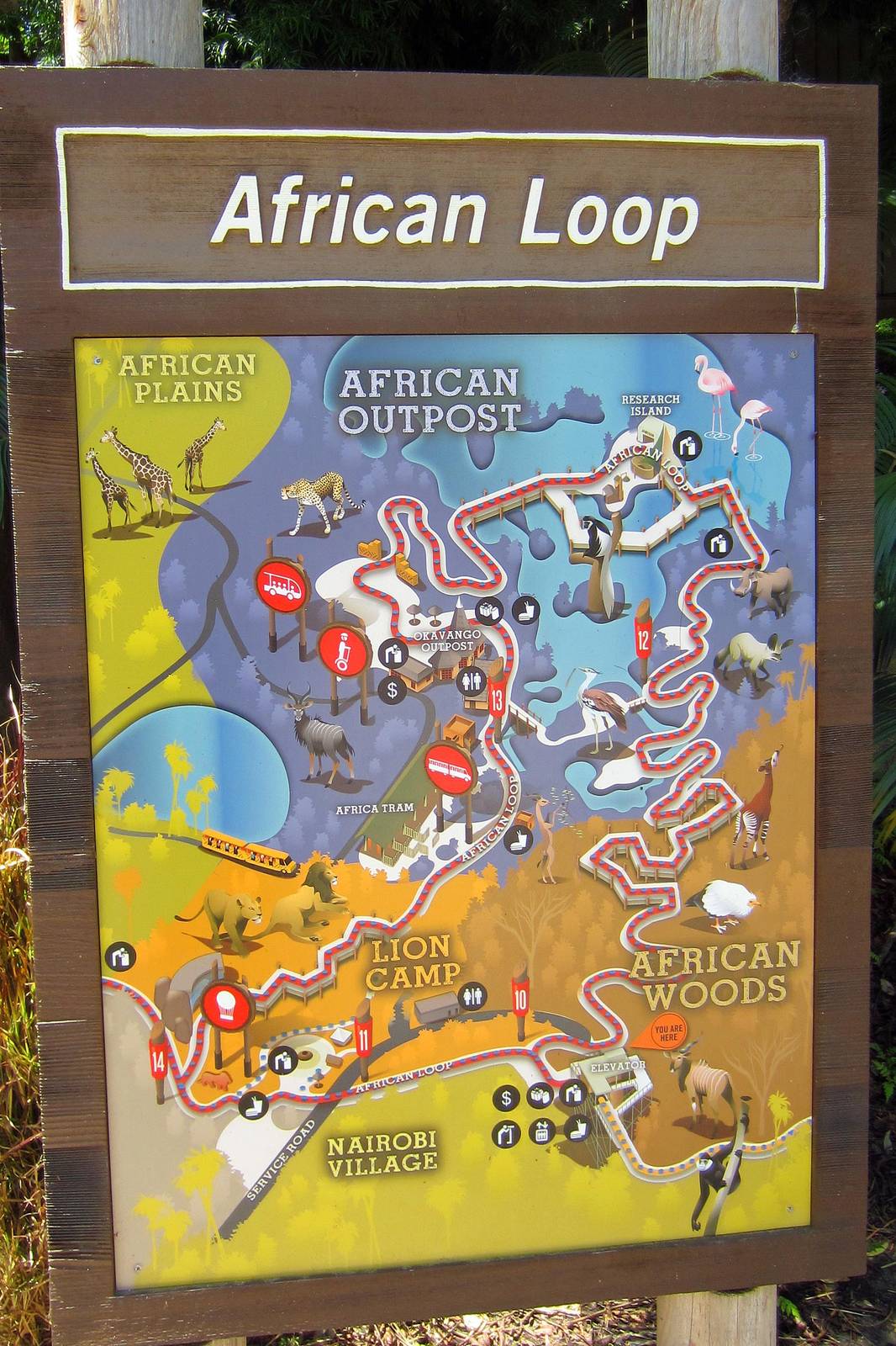 Map along the African Loop trail