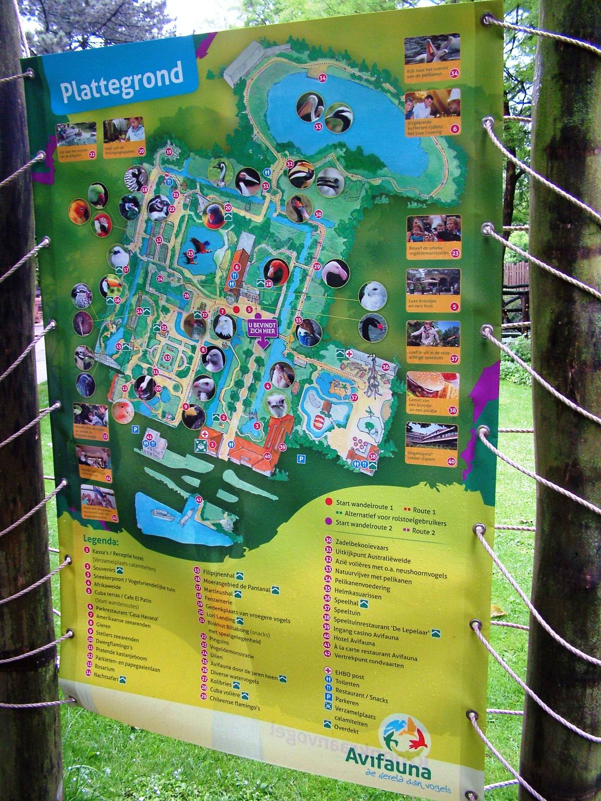 Map at Avifauna, 04/06/12