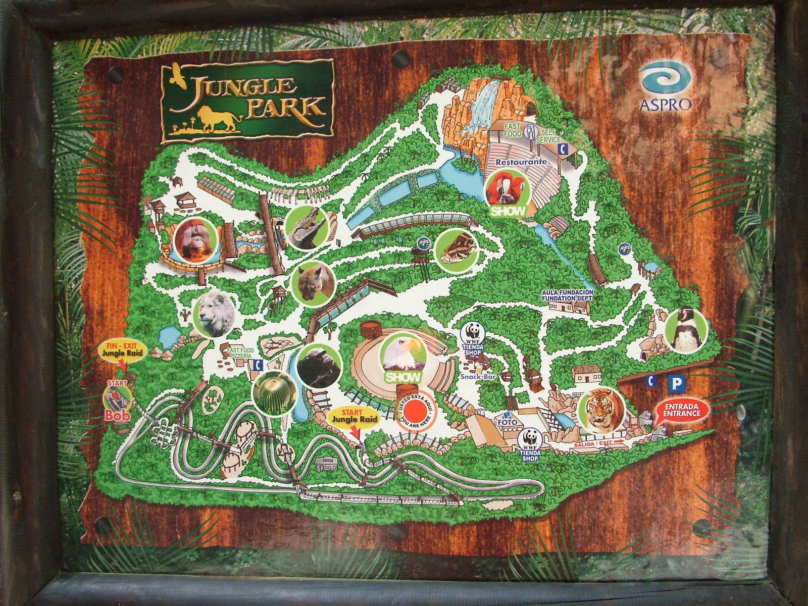 Map at Jungle Park (Las Aguilas), 13/11/10