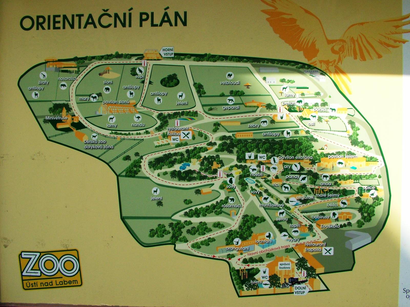 Map at Usti, 29/08/12