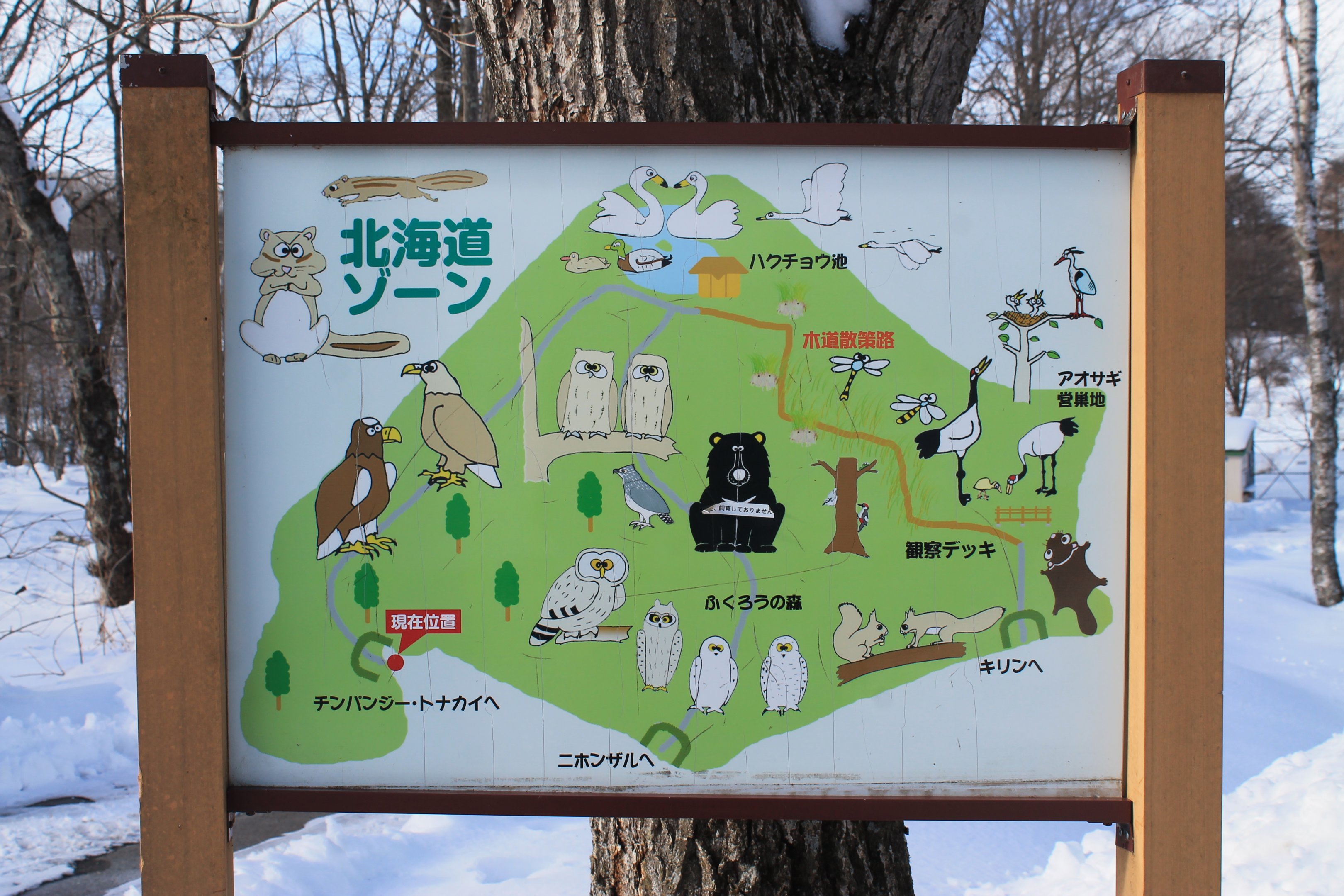 Map-board for the Hokkaido Zone at Kushiro Zoo