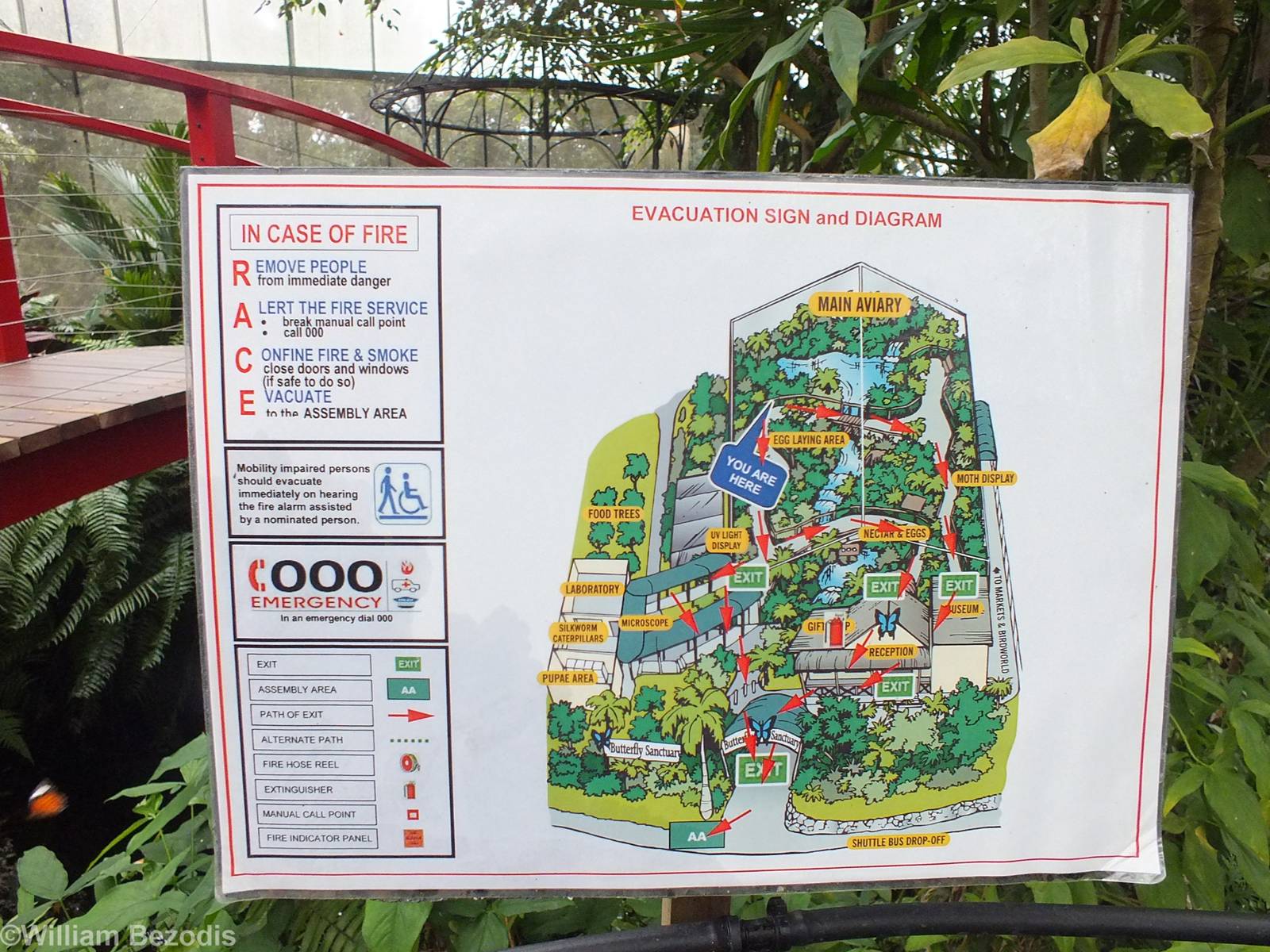 Map (Evacuation sign)