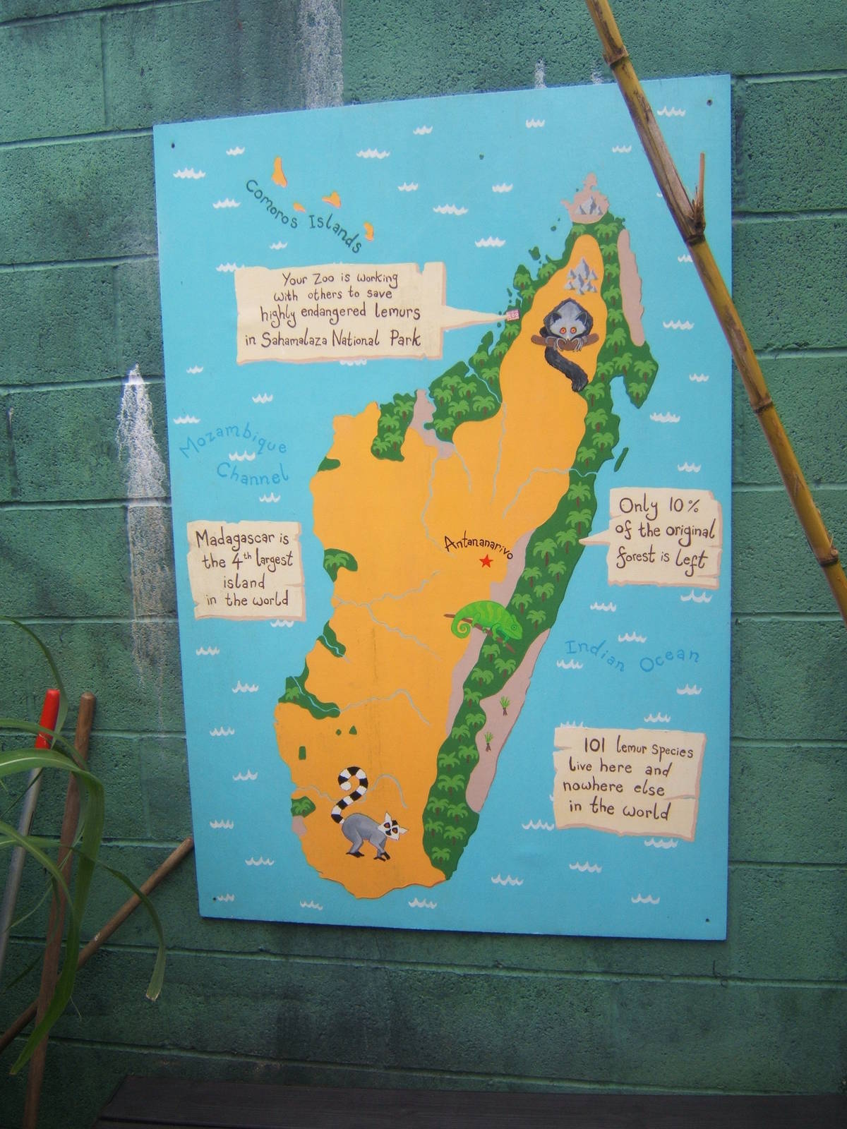 Map in the Lemur walk through