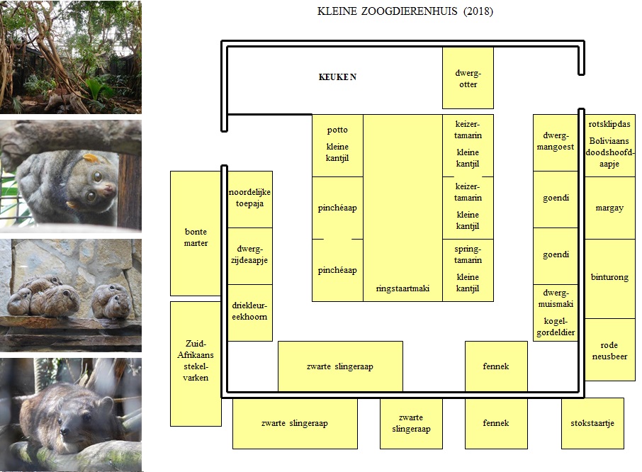 Map Kleine Zoogdierenhuis (2018)