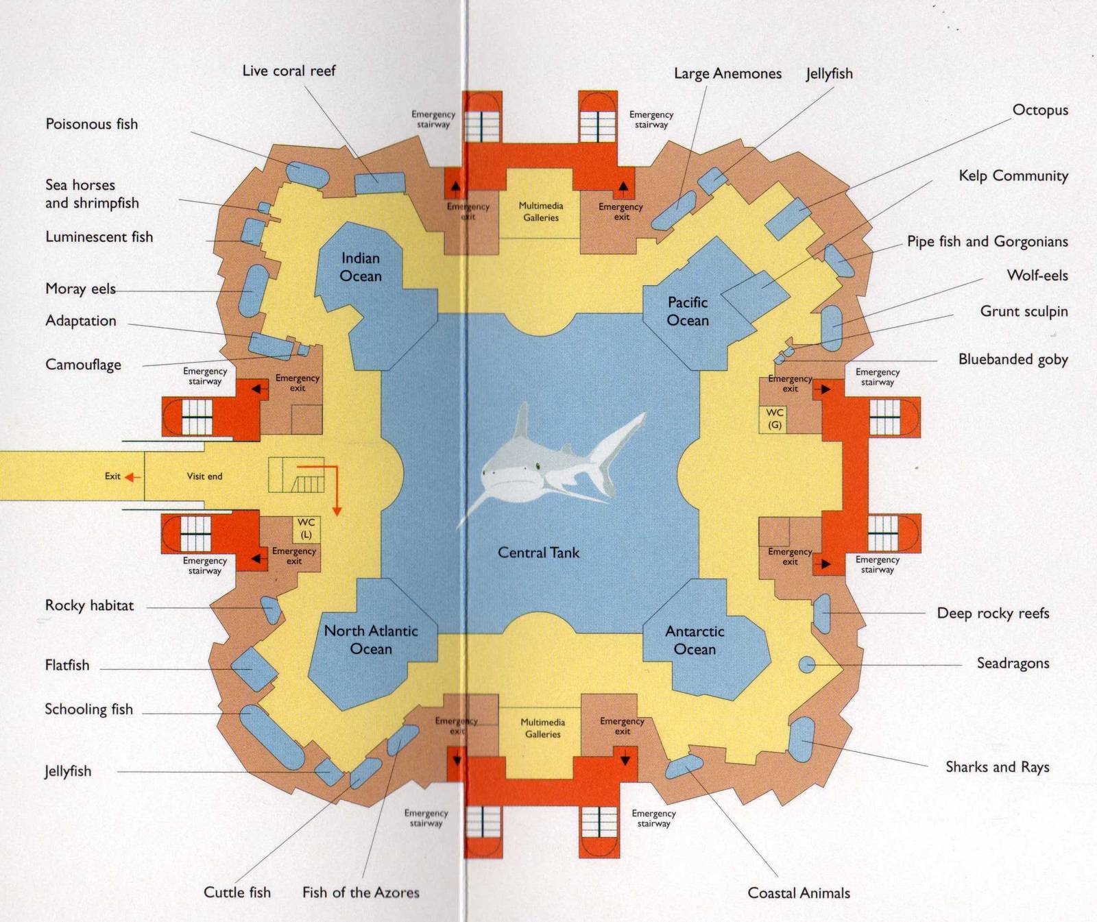 Map Lower Level-Underwater habitats