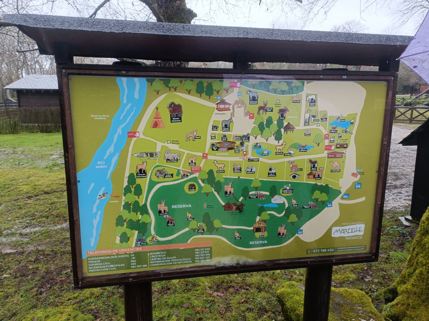 Map -Marcelle Naturaleza