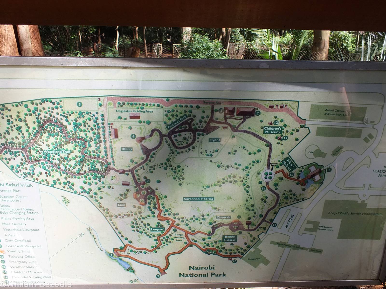 Map - Nairobi Safari Walk