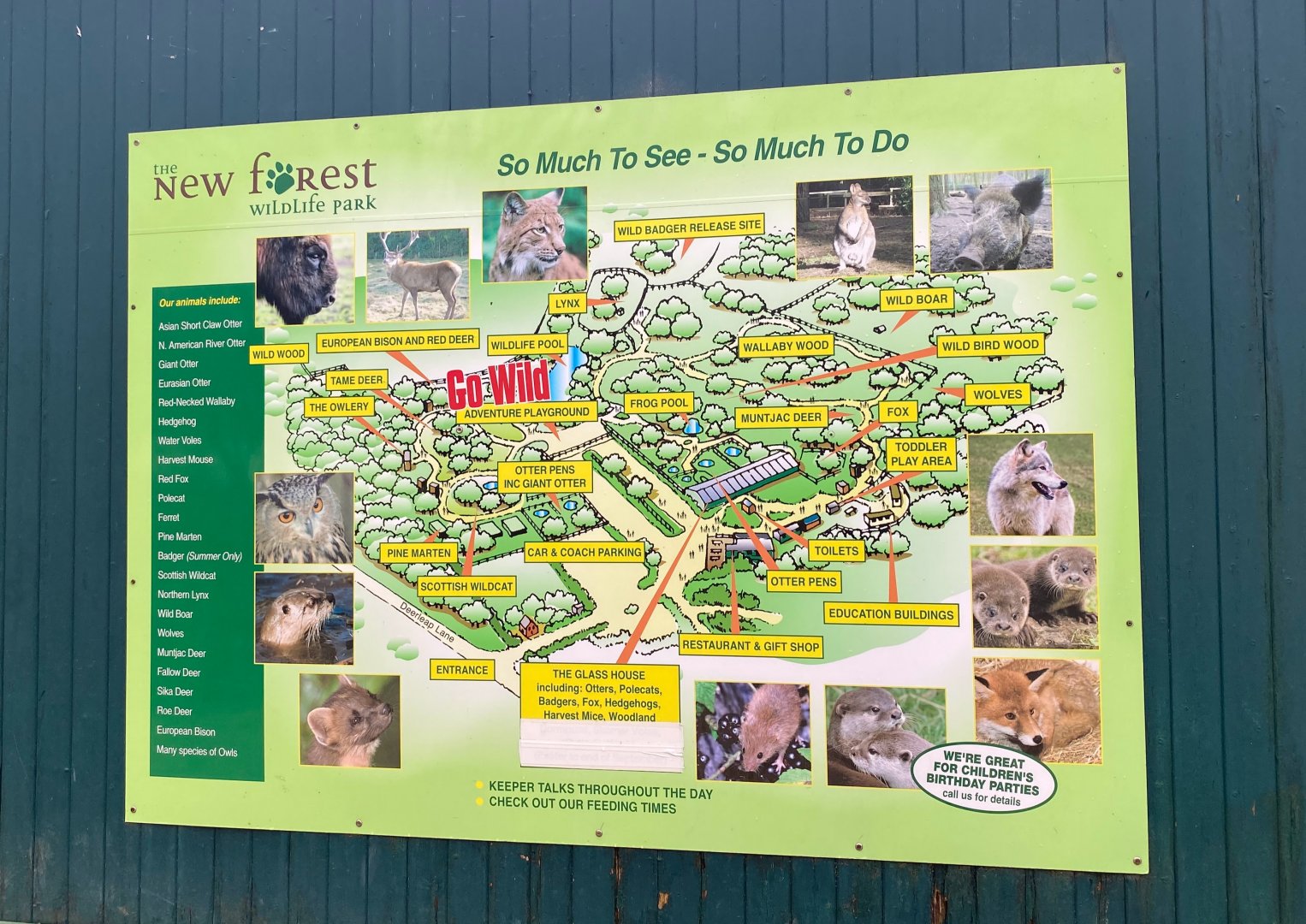 Map, New Forest Wildlife Park