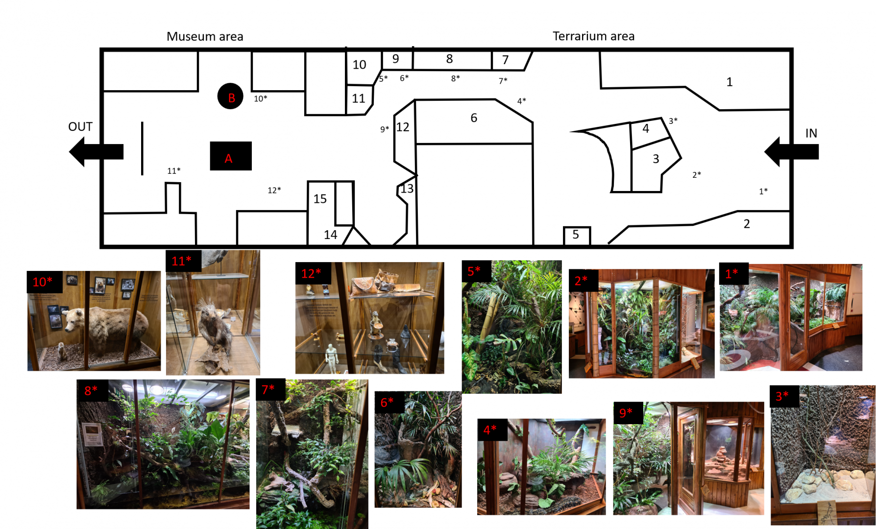 Map of 100.000 animal house (Only roughly scaled)