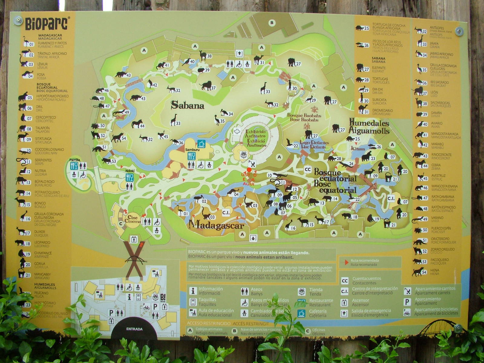 Map of Bioparc Valencia, 28/05/11