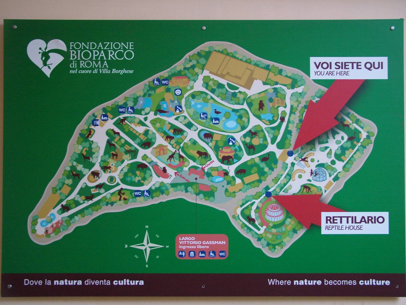 Map of Bioparco Rome 15/10/09