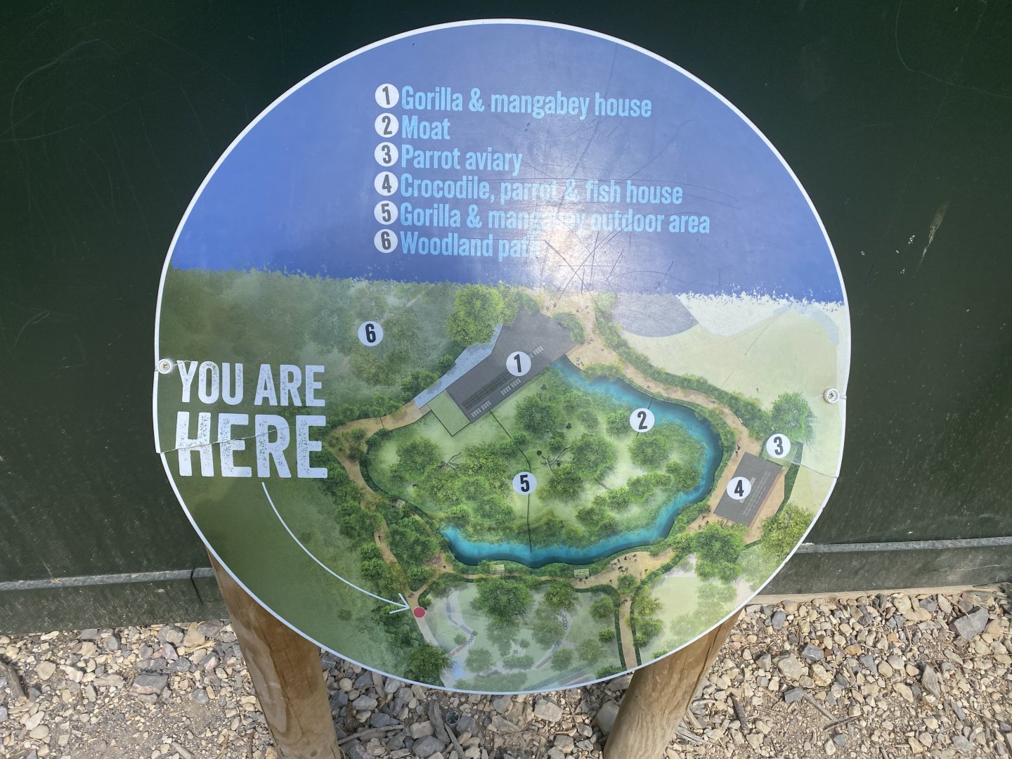 Map of Central African Forest