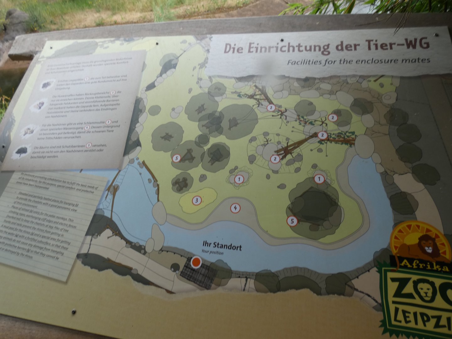 Map of Cheetah/Black Rhino/Patas Monkey exhibit