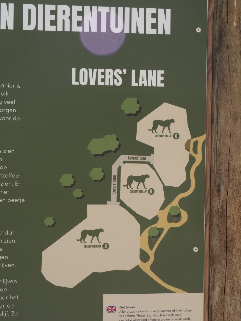 Map of cheetah exhibits, 2025-04-30