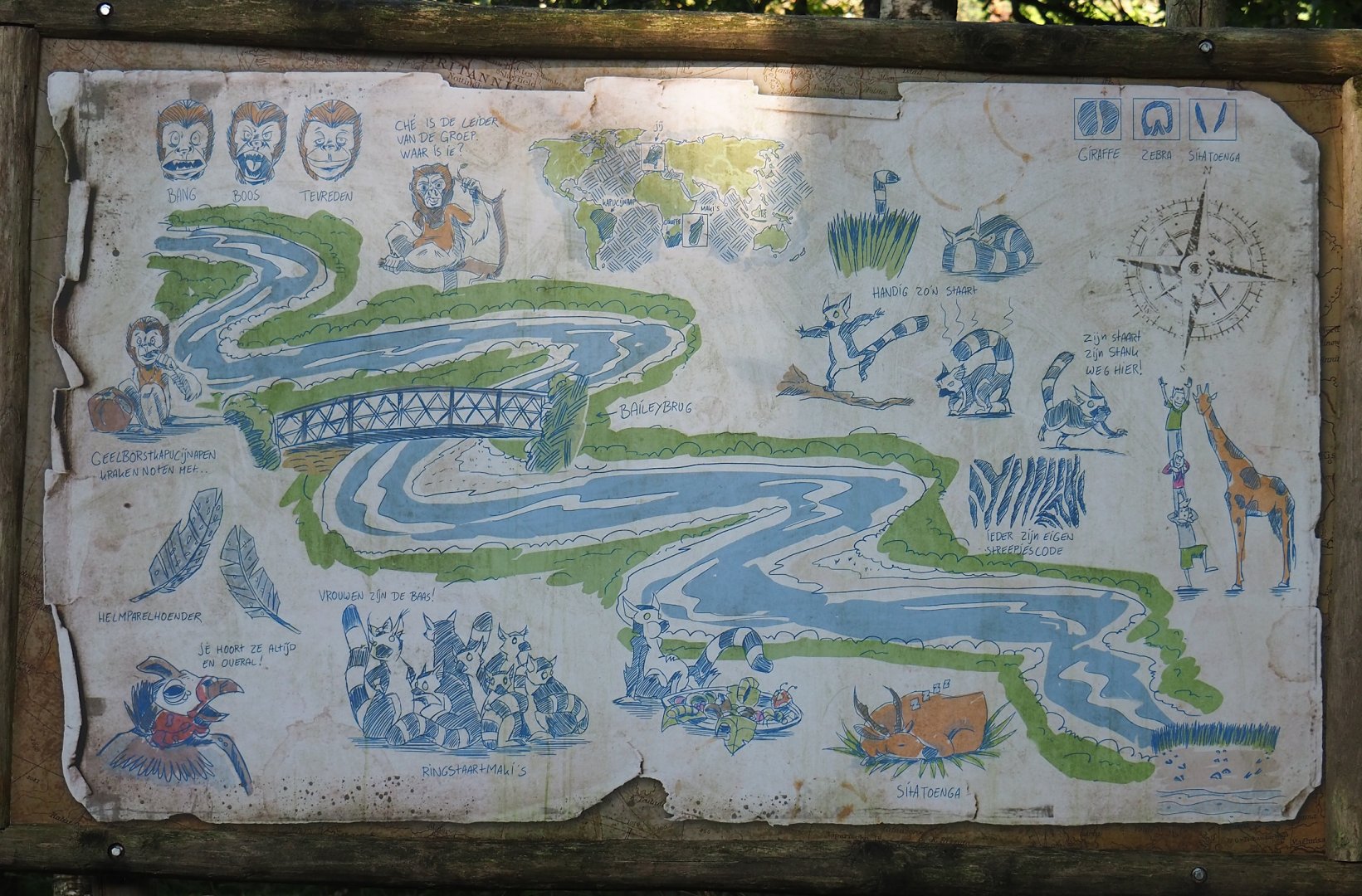 Map of creek area with pedalo boats around primate islands, 2023-09-24